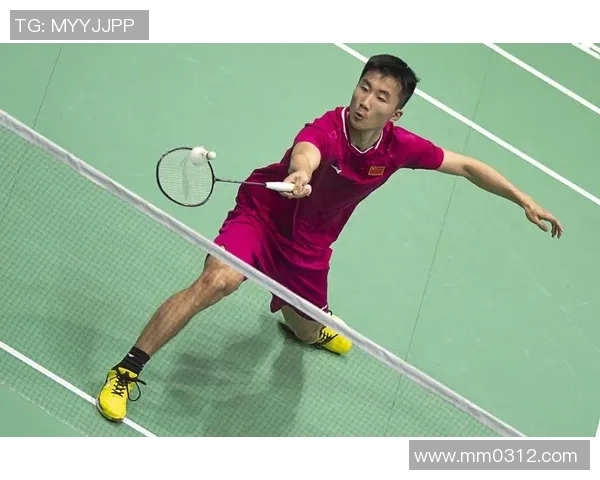 羽毛球巨献：深入分析武汉羽毛球队运动员的个人技术与训练秘诀