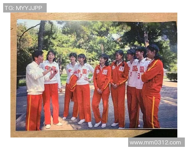 西安排球队的奋斗历程与精英赛背后的故事揭秘